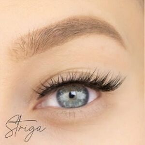 ✨NEW✨ Dramatic Black False Eyelashes by SMB, style is Striga